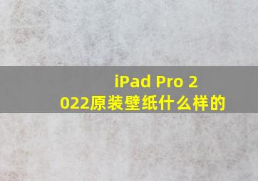 iPad Pro 2022原装壁纸什么样的